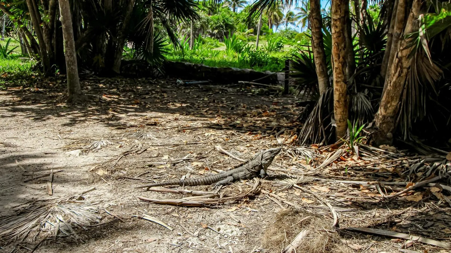Aldea Savia C-31 Villa Tulum Holiday home